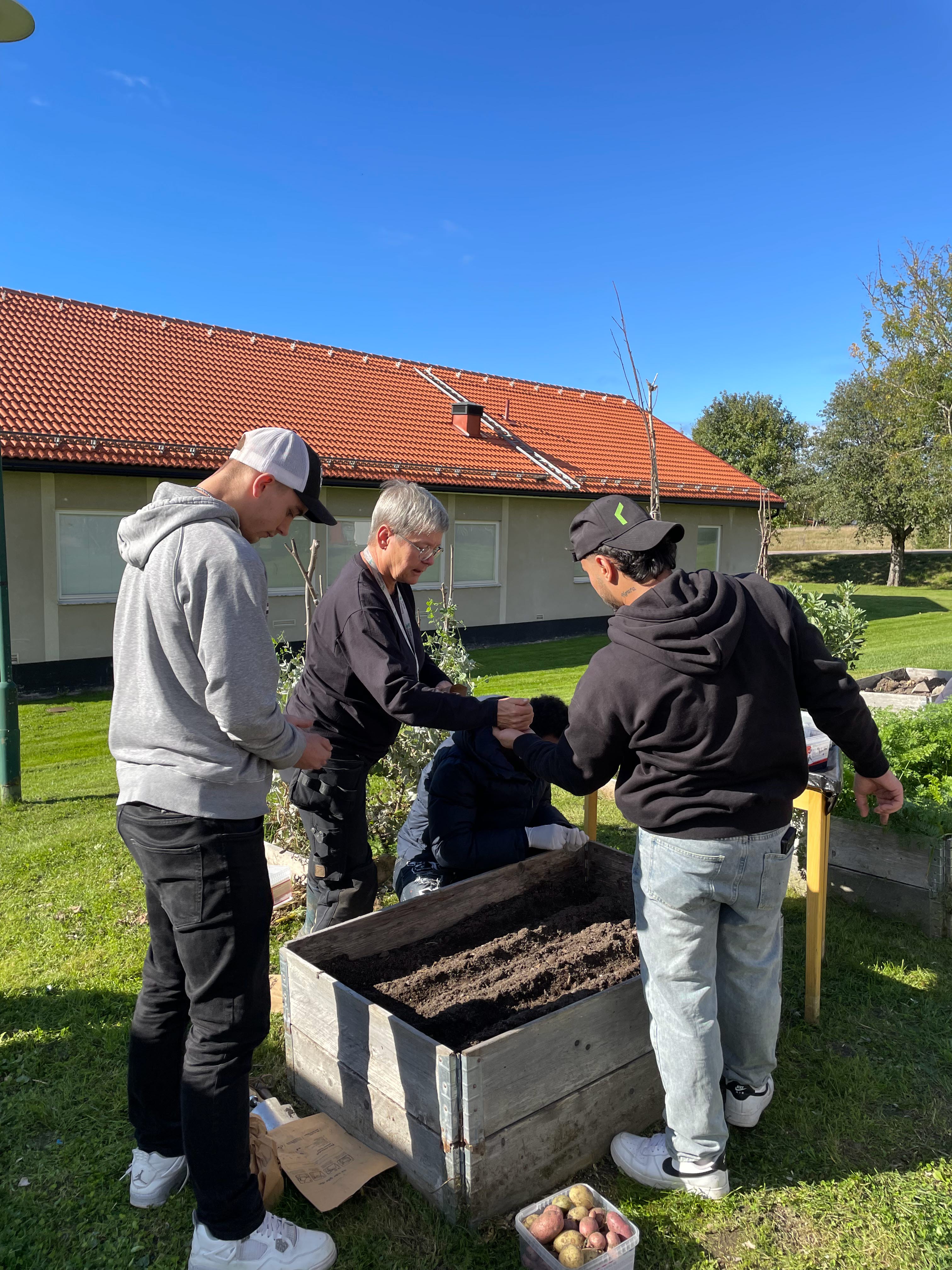 Deltagare i projektet FolkisUng arbetar tillsammans med plantering i en odlingslåda vid Västerbergs folkhögskola.